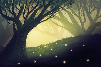 Art, Wood, Tree, Branches, Glow HD wallpaper