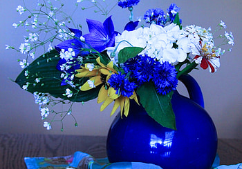 Still Life, blue, , Flowers, Vase HD wallpaper