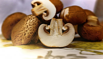 Mushroom , Royalty-, Array of mushrooms, Nature graphy HD wallpaper