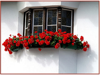 reddish window, window, reddish HD wallpaper