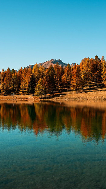 Forest Lake, Lakes HD phone wallpaper