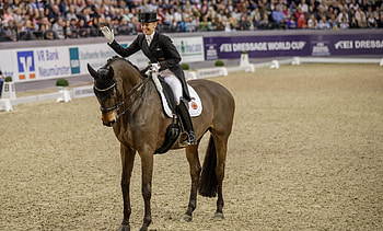 Dressage sports, 2020 dressage highlights, Equestrian discipline, Year in review HD wallpaper
