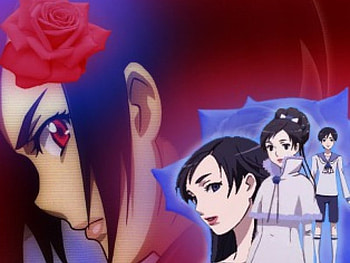 redrose vs. bluerose, black, blood HD wallpaper