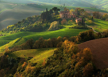 Mystical, trees, slopes, hills, green HD wallpaper