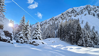 Look up to Enigkopf in Gschnitztal, Tirol, Austria, alps, mountains, snow, trees, landscape, sky HD wallpaper