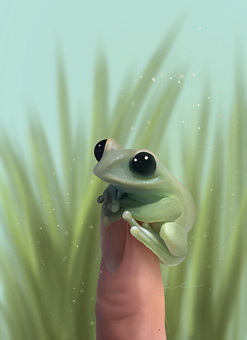 Ranita, naturaleza, arte HD phone wallpaper