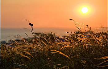 Landscape, Sunset, Grass, Sky HD wallpaper