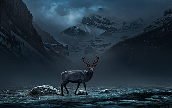 Art, Mountains, Dark, Fog, Gloomy, Deer HD wallpaper
