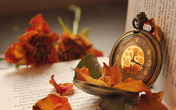 Flowers, Roses, Clock, Miscellanea, Miscellaneous, Petals, Book, Pocket HD wallpaper