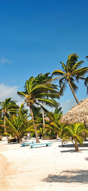 Virtual vacation, Explore Captain Morgan's Retreat, Caribbean dreams, Online getaway HD phone wallpaper