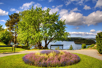Pure harmony, peace, nature, lake, park, tree HD wallpaper