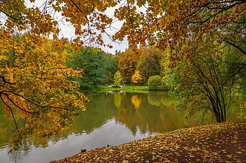 Lake at the autumn, autumn, water, lake, tree HD wallpaper