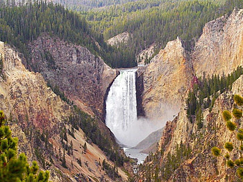 Yellowstone Lower Falls, falls, trees, yellowstone, rock HD wallpaper