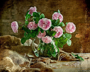 still life, bouquet, graphy, kettle, beauty, nice, rose, flower, , water, roses, beautiful, pink, old, pretty, cool, flowers, lovely, harmony HD wallpaper
