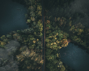 View From Above, Nature, Road, Forest, Fog HD wallpaper