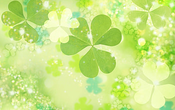 animated green and white flowers HD wallpaper