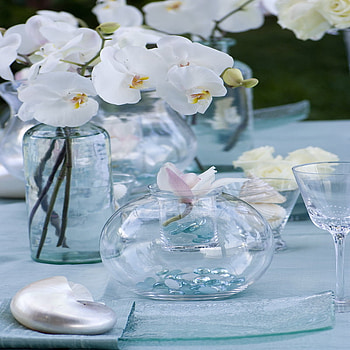 coastal decoration, shell, table, decoration, glass, orchid, nautilus HD wallpaper