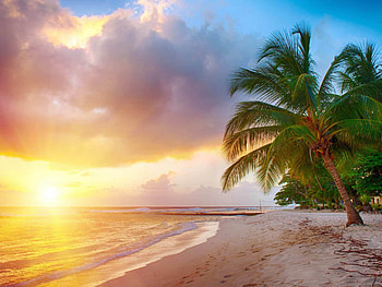 Barbados Caribbean, Beautiful sunset, Sea , Tropical oasis HD wallpaper