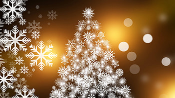 christmas card, holiday, fun, entertainment, christmas, cool HD wallpaper