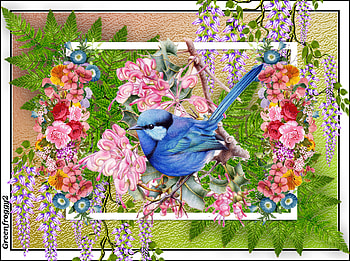 BLUE WREN, ART, ABSTRACT, WREN, BLUE HD wallpaper