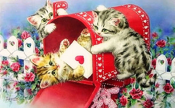 letter of love, kitten, letter, heart, mailbox HD wallpaper