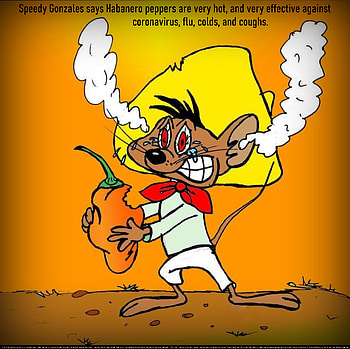 Speedy Gonzales Says Habanero Peppers Are Very Hot, And Very Effective Against Coronavirus, Flu, Colds, And Coughs, sinusitus, funny, natural, cartoon, flu, home remedies, faith, pandemic, chills, coughs, fever, coronavirus, quarantine, hot pepper, healing, sweats, hope, ace, miracle, COVID-19, supernatural, colds, amusing, religious, bronchitus, love, peace HD wallpaper