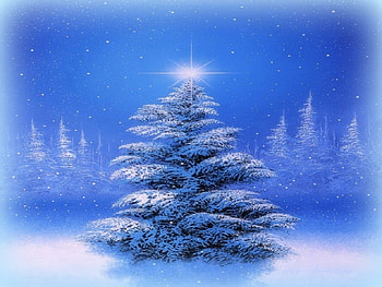 ★The Christmas Tree★, blue, winter, holidays, white, attractions in dreams, paintings, creative pre-made, landscapes, love four seasons, scenery, christmas trees, snow, christmas, cool, nature, xmas and new year HD wallpaper