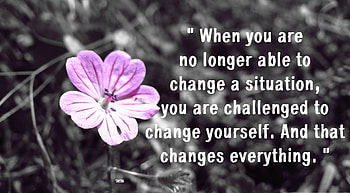 Change, words, quotes, thoughts, flower, quote, nature HD wallpaper