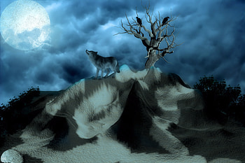 Birds, Night, 3D, Hills, Wolf, Lonely, Alone HD wallpaper