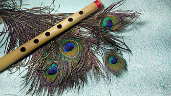 Flute on feathers, Whimsical , Delicate melodies, Enchanting music HD wallpaper