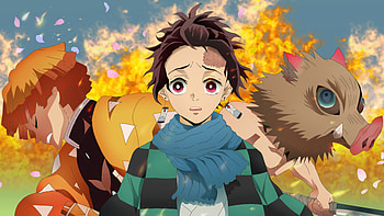 Demon Slayer Trio: Tanjiro, Zenitsu & Inosuke Anime, Anime, Demon Slayer: Kimetsu no Yaiba, Zenitsu Agatsuma, Inosuke Hashibira, Tanjiro Kamado HD wallpaper
