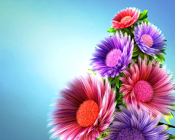 FLOWER SWIRLS, colorful, flowers, big HD wallpaper