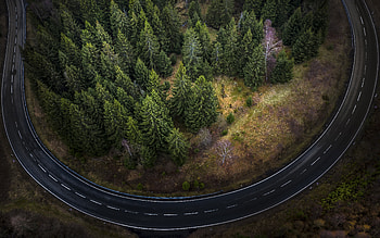 Forest Road, trees, nature, road, forest HD wallpaper
