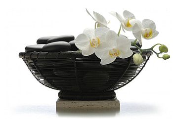 Black and White Harmony, basket, white, black, yellow, contrast, orchid, stones HD wallpaper
