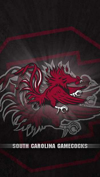 Gamecock for , Popular backgrounds, Team spirit, Best HD phone wallpaper