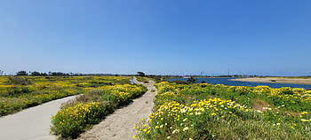 Hiking in Greater San Diego County – Landscape graphy, flower, Southern California, California, landscape, hiking, graphy, nature HD wallpaper