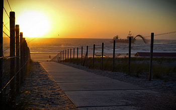 Nature, Sea, Sun, Beach, Shine, Light, Track HD wallpaper