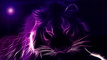 Tiger, Glow in the Dark HD wallpaper