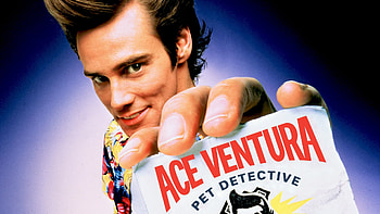 Jim Carrey, Ace Ventura, Online streaming, movies HD wallpaper
