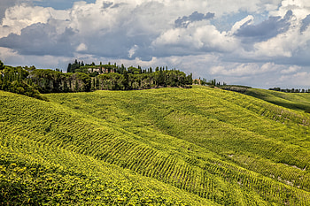 Nature, Grass, Field, Elevation HD wallpaper