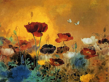 POPPIES, blue, white, black, red, flowers HD wallpaper