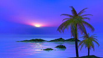 3D, Artistic, Landscape, Cgi, , Ocean, Palm Tree, Sun, Sunset, Tropical HD wallpaper