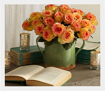 beautiful roses, still life, vase, book, roses HD wallpaper