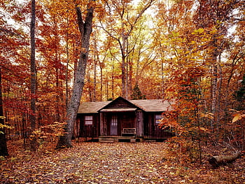 A quaint log cabin nestled in a vibrant forest during autumn, with colorful foliage and serene rural setting. HD wallpaper