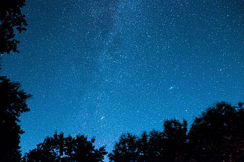 Trees, Stars, Night, Shining, Dark, Starry Sky HD wallpaper