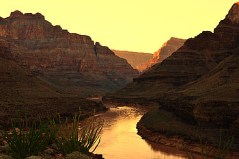 Plants, Nature, Rivers, Sunset, Canyon, Rocks HD wallpaper