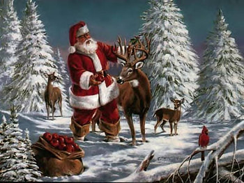 wheres rudalph, christmass trees, winter, birds, pine trees, woods, claus, st nick, tree, old, apples, snow, deer, forest, santa HD wallpaper