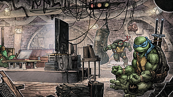 Meditation, Teenage Mutant Ninja Turtles, Comics, Raphael (Tmnt), Tmnt, Leonardo (Tmnt) HD wallpaper