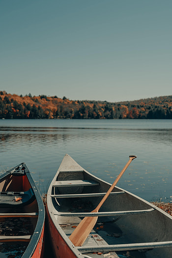 Rivers, Trees, Sky, Miscellanea, Miscellaneous, Boat, Oars, Paddles HD phone wallpaper