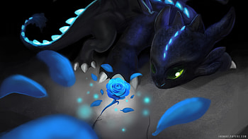 Toothless HD wallpaper
